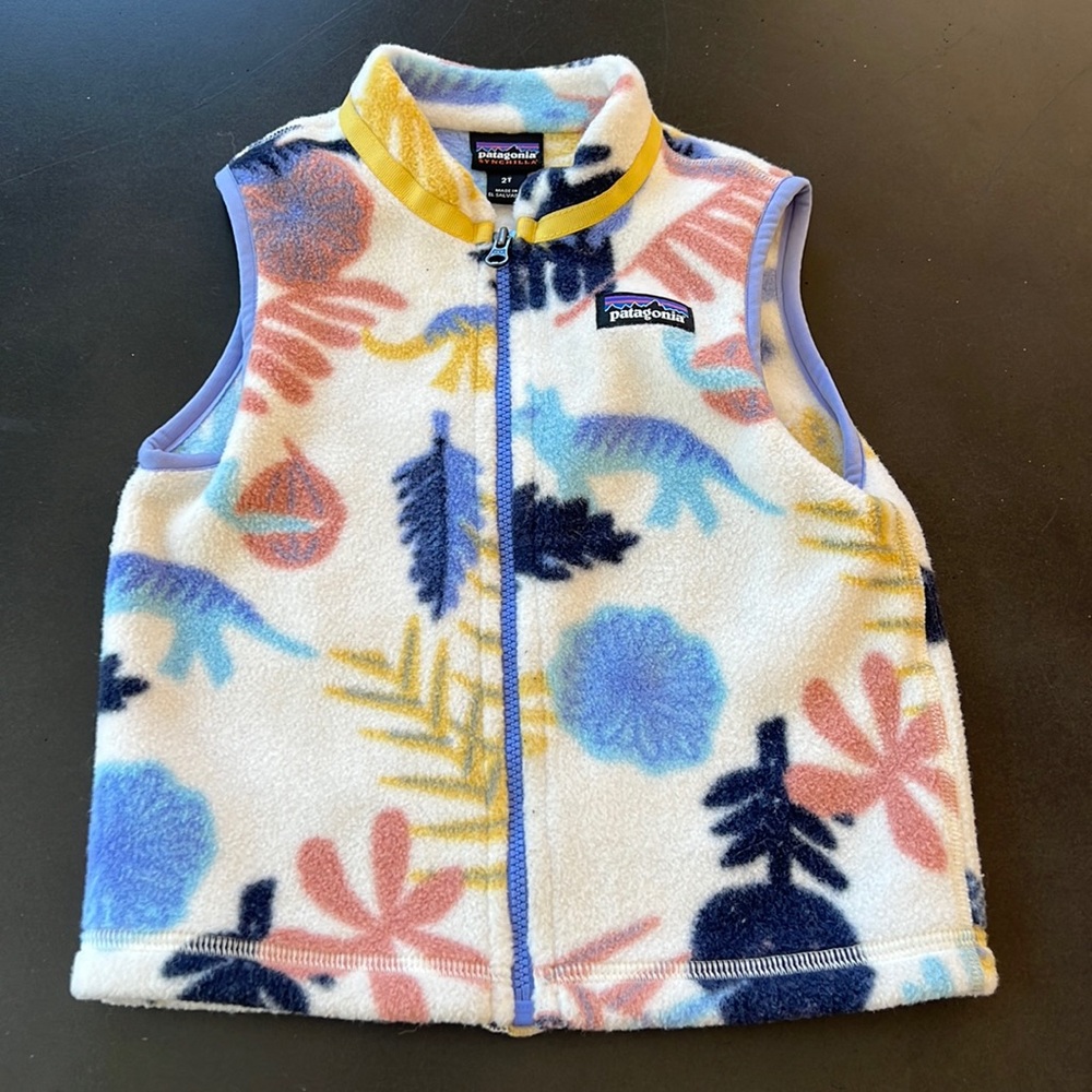 Patagonia fleece vest 2T